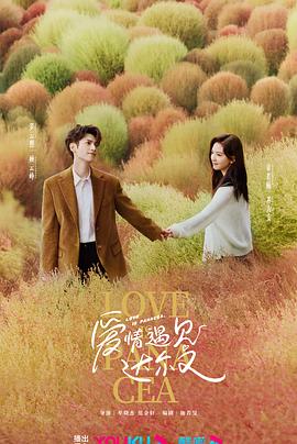 插女人色综合海报剧照